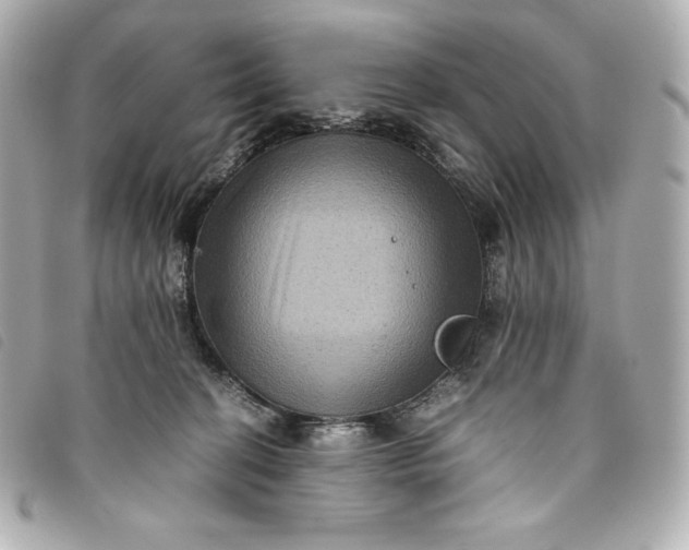 X0000093490274200710261123