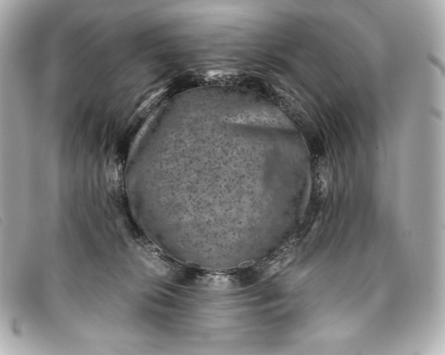 X0000093490276200710261123