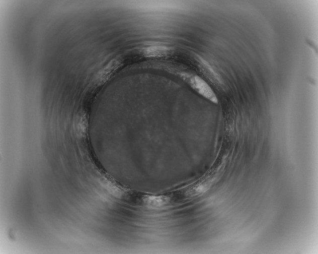 X0000093490277200710261123