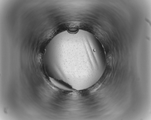 X0000093490280200710261123