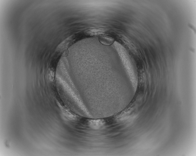 X0000093490281200710261123