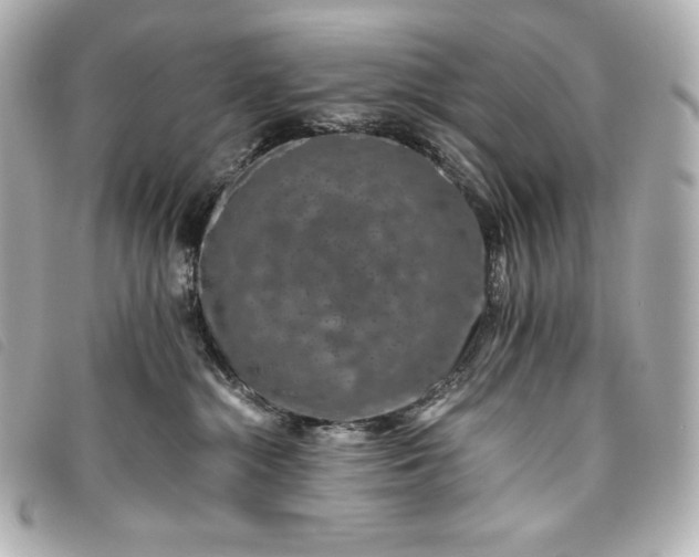 X0000093490284200710261123