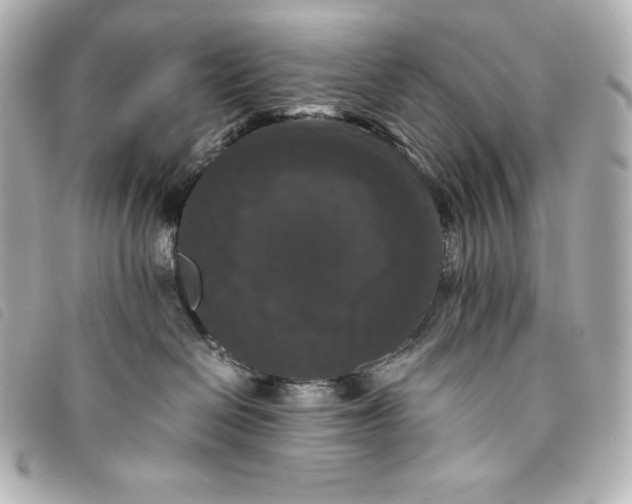 X0000093490286200710261123