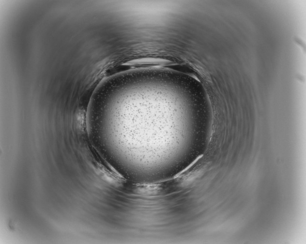 X0000093490288200710261123