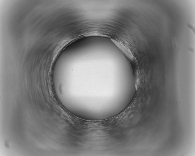 X0000093490289200710261122