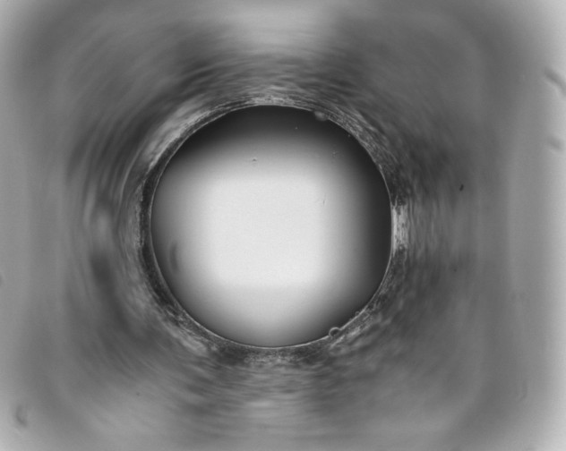 X0000093490291200710261122