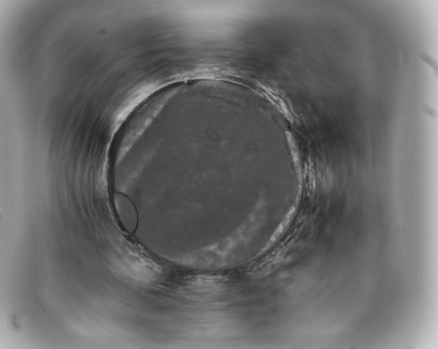 X0000093490292200710261122