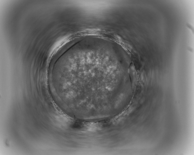 X0000093490293200710261122