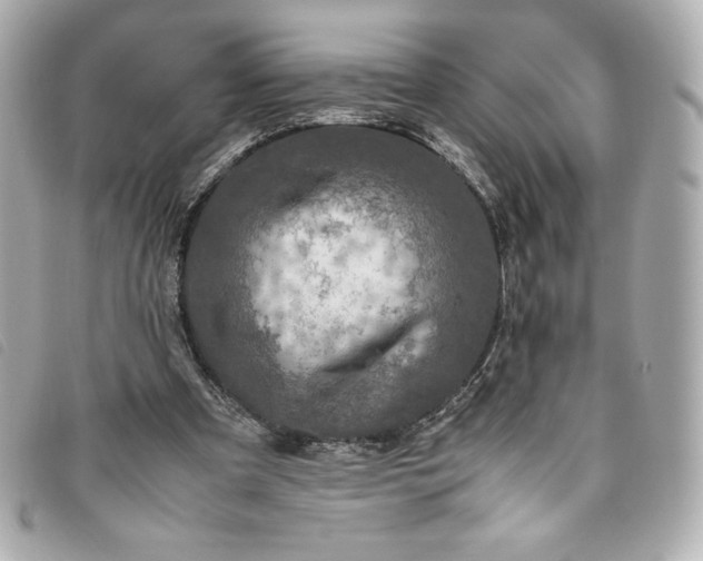 X0000093490297200710261122