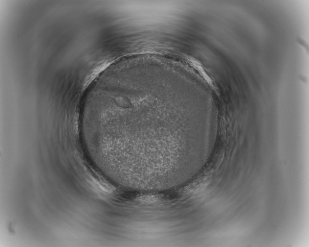 X0000093490299200710261122