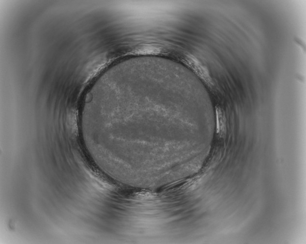 X0000093490300200710261122