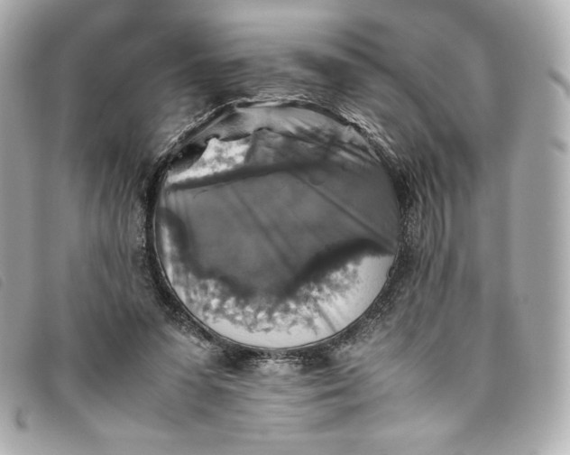 X0000093490303200710261122