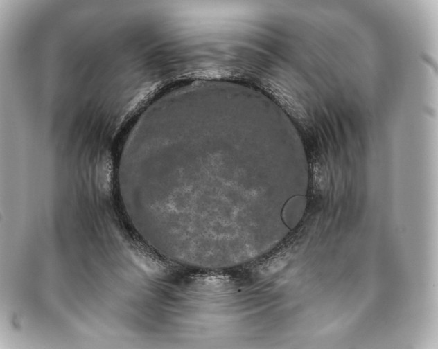 X0000093490304200710261122