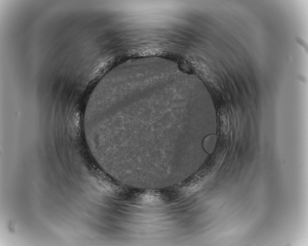 X0000093490308200710261122