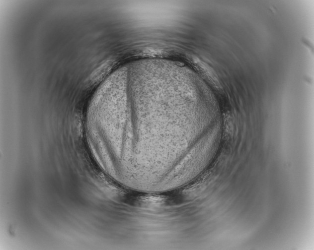 X0000093490313200710261122