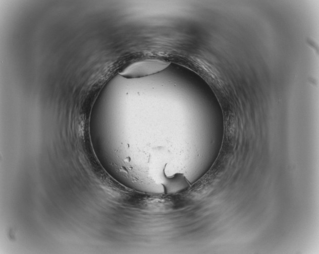 X0000093490315200710261122