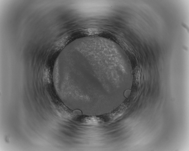 X0000093490316200710261122