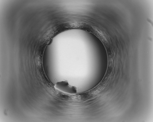 X0000093490317200710261122