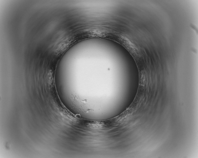 X0000093490318200710261122