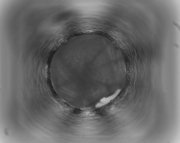 X0000093490319200710261122