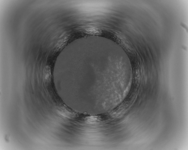 X0000093490320200710261122