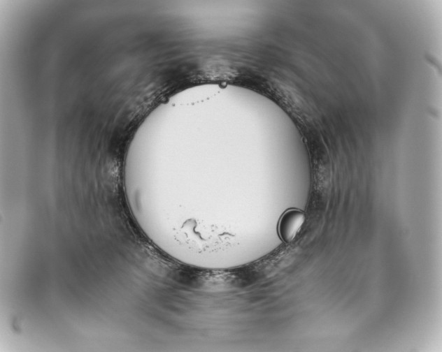 X0000093490321200710261122