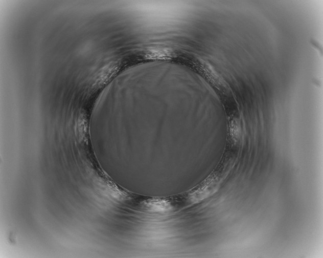 X0000093490322200710261122