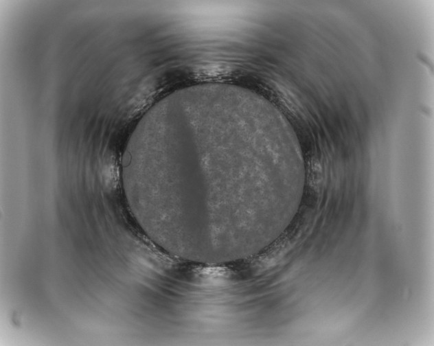 X0000093490324200710261122