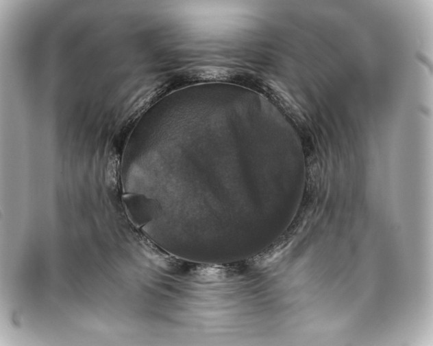 X0000093490325200710261122