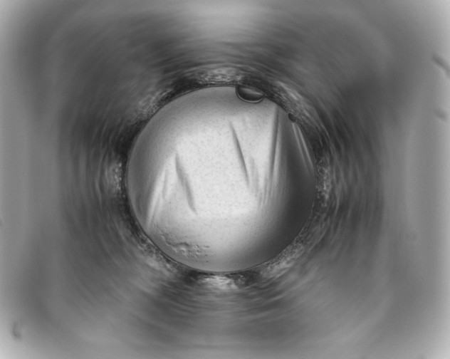 X0000093490326200710261122