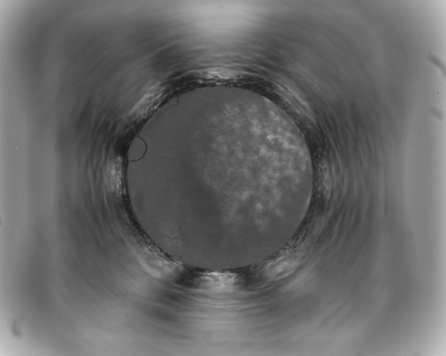 X0000093490328200710261122