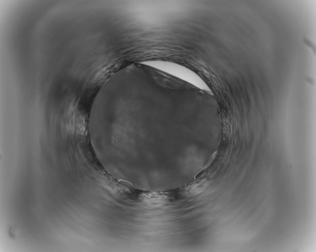 X0000093490331200710261122