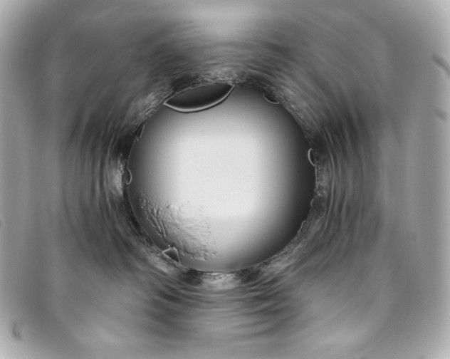 X0000093490334200710261122