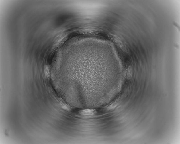 X0000093490335200710261122