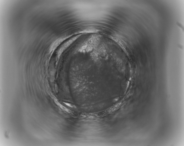 X0000093490337200710261121