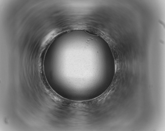 X0000093490339200710261121