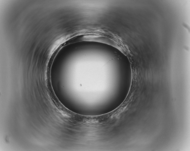 X0000093490340200710261121