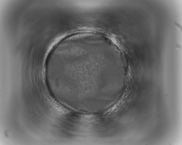 X0000093490342200710261121