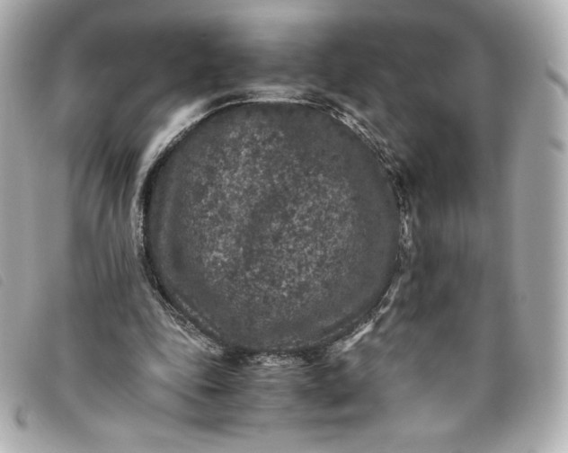 X0000093490343200710261121