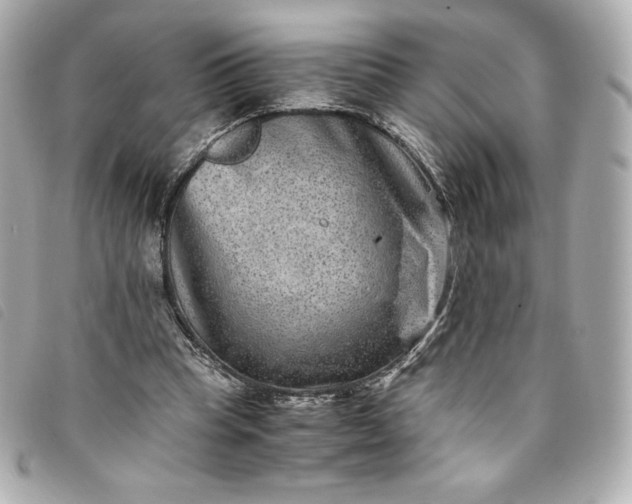 X0000093490345200710261121