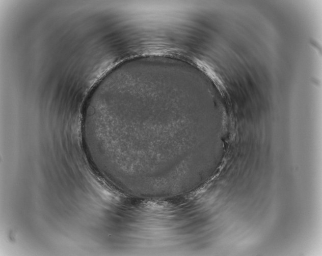 X0000093490346200710261121