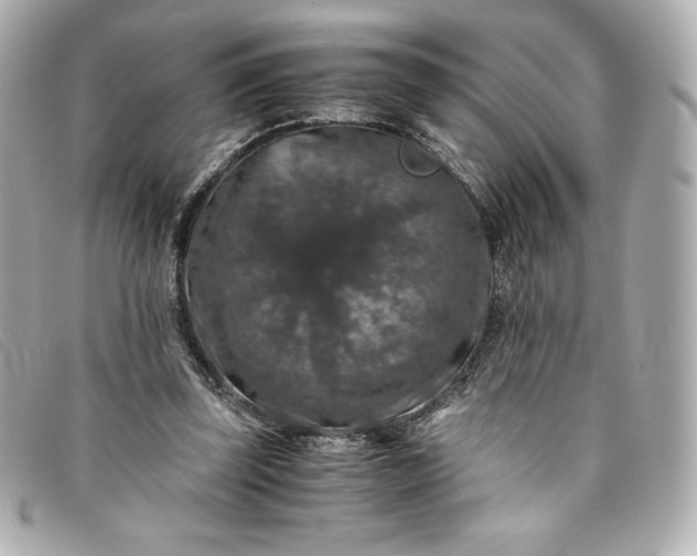 X0000093490347200710261121