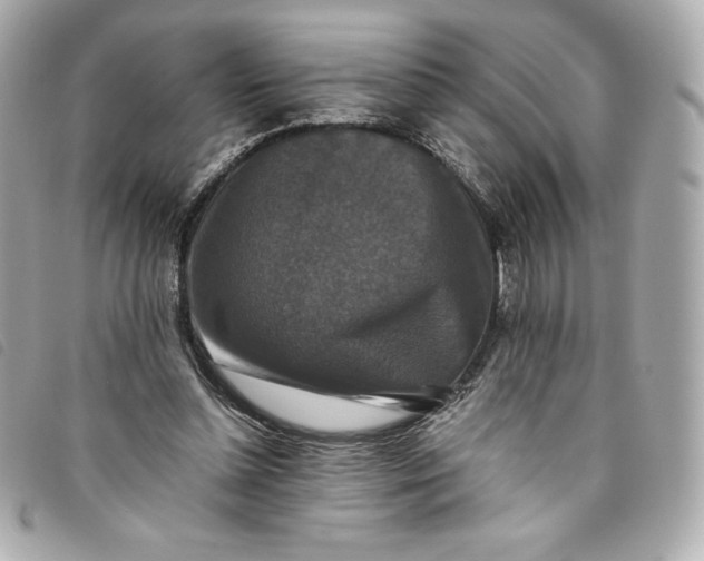 X0000093490348200710261121