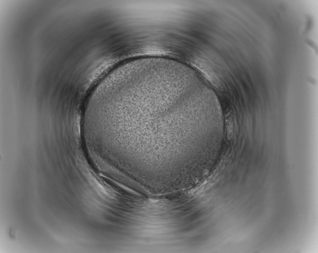 X0000093490350200710261121