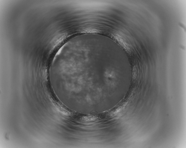 X0000093490351200710261121