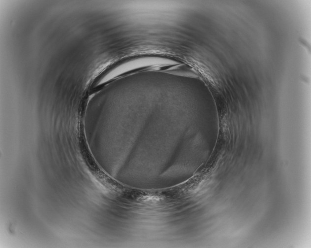 X0000093490352200710261121