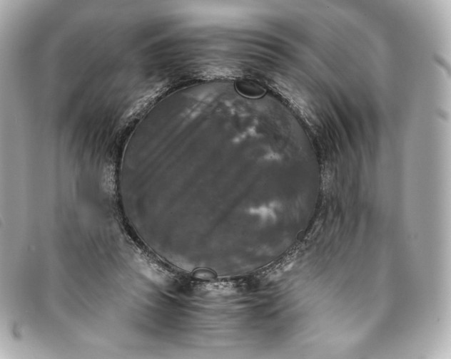 X0000093490353200710261121