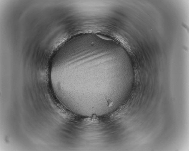 X0000093490354200710261121