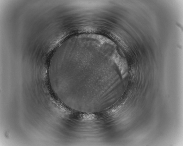 X0000093490355200710261121