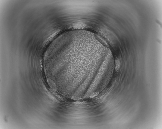 X0000093490356200710261121